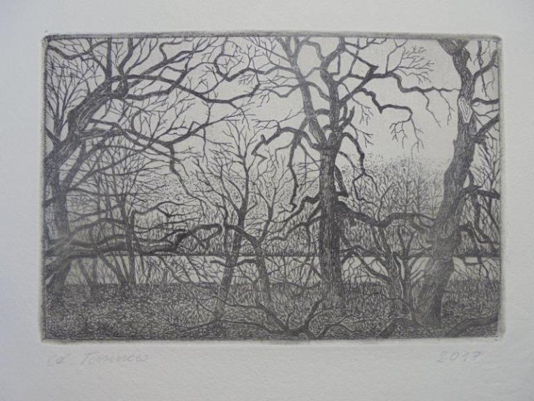 "50 Jahre Druckgrafik" Andreas Tessenow