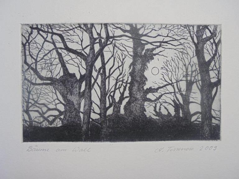 "50 Jahre Druckgrafik" Andreas Tessenow